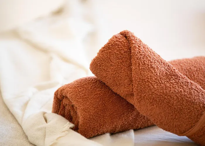 Chez Ambre Et Flo - Queen Size Clim Centre Parking Апартаменти